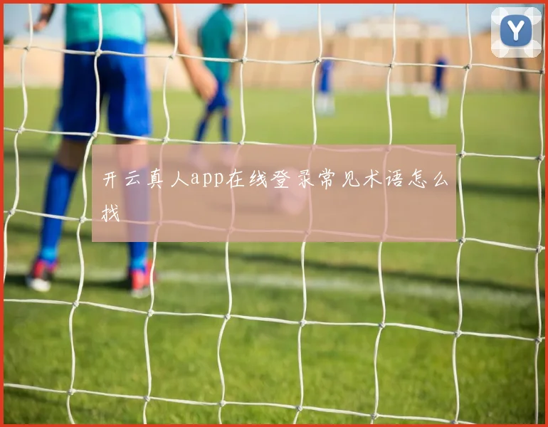 开云真人app在线登录常见术语怎么找