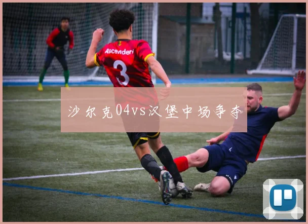 沙尔克04vs汉堡中场争夺